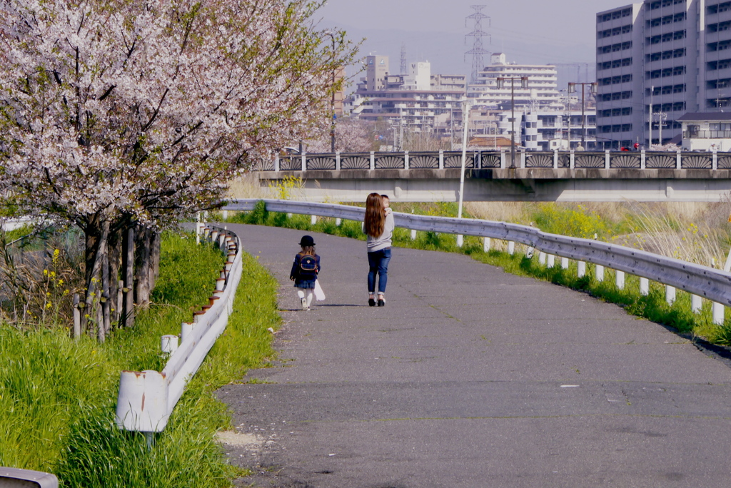 川沿いの帰り道