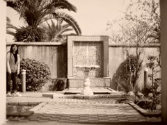 Guest
