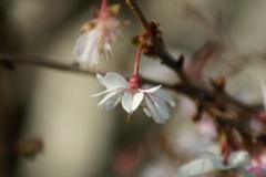 嵐のあとの暖かい風