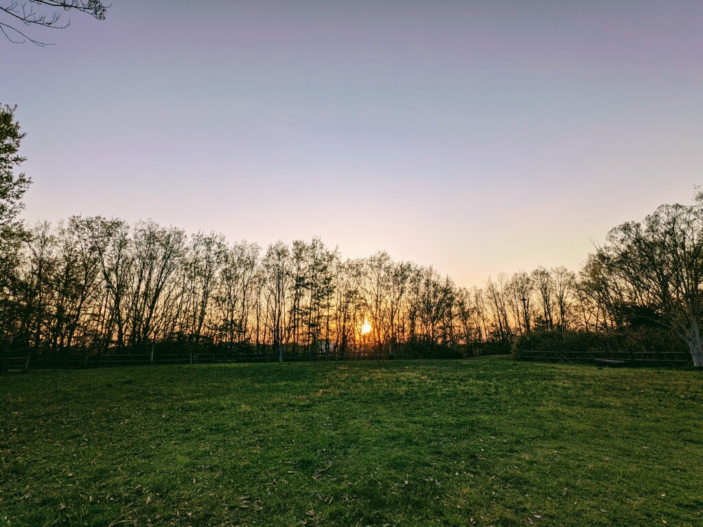 高台の夕暮れ