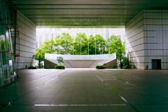 今年の八月