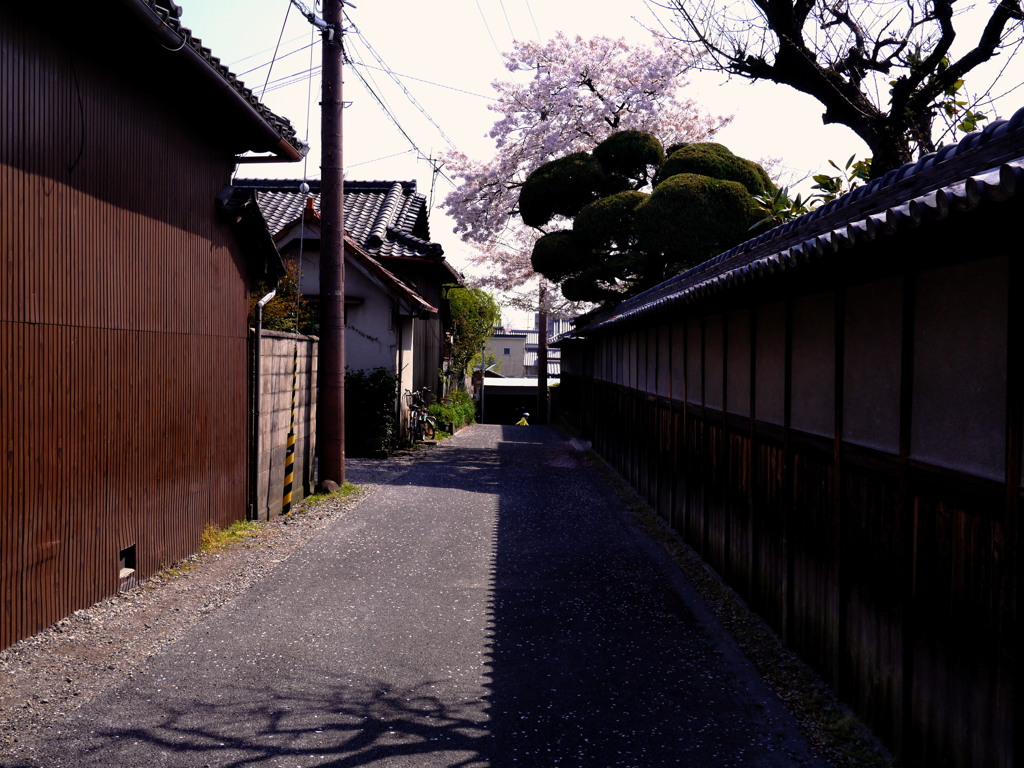 どっち？？（普通の通り道）