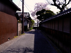 どっち？？（普通の通り道）