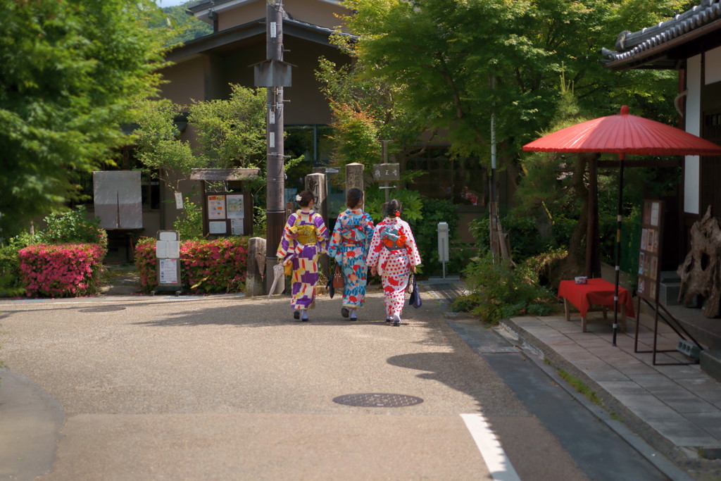 色鮮やかな曲道