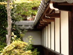 和の心