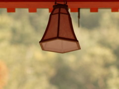陽あかり