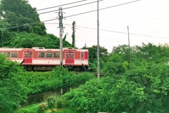 雨降り巡回の一コマ