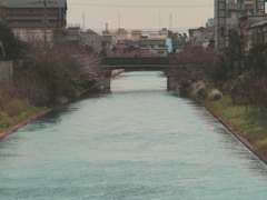 京都・堀川の春