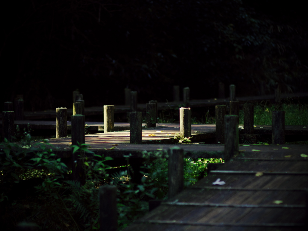 踊り場がステージ