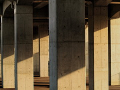Concrete Jungle