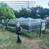 稲の保守
