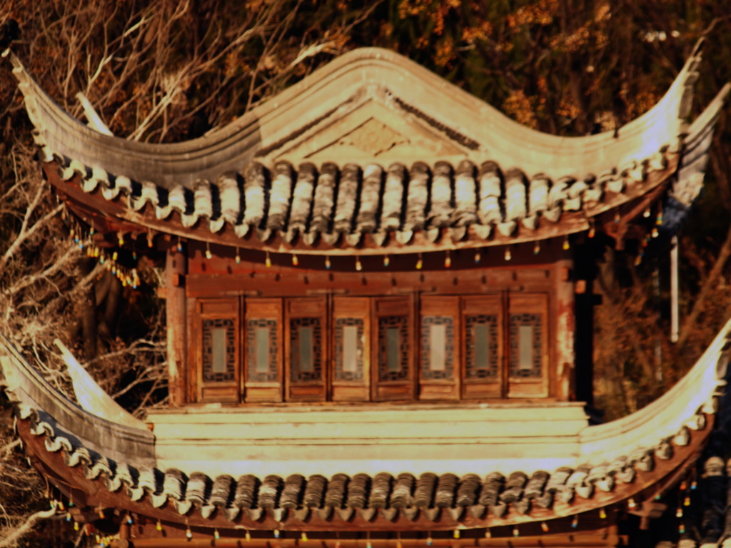 魔境に迷う