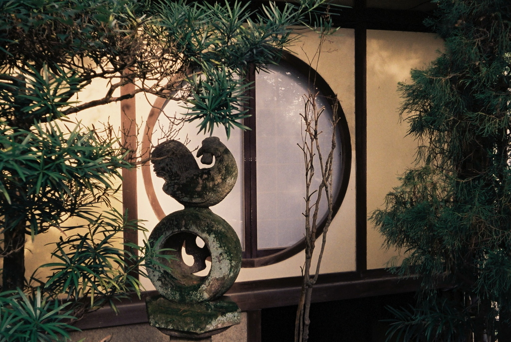 諌鼓の鳥