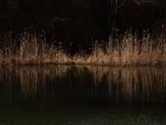 治水の恩恵