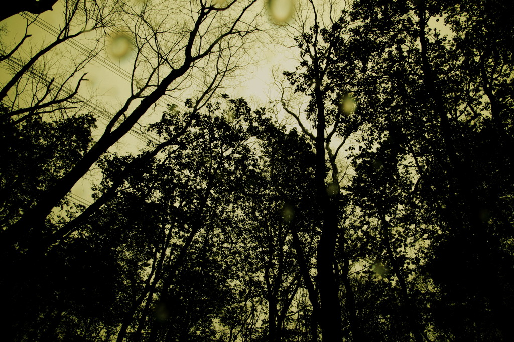 Rainyhills