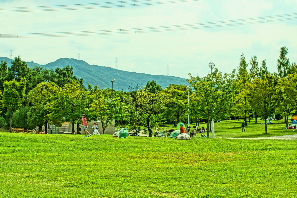 それぞれの公園