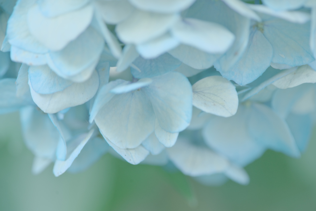 雨の降る日