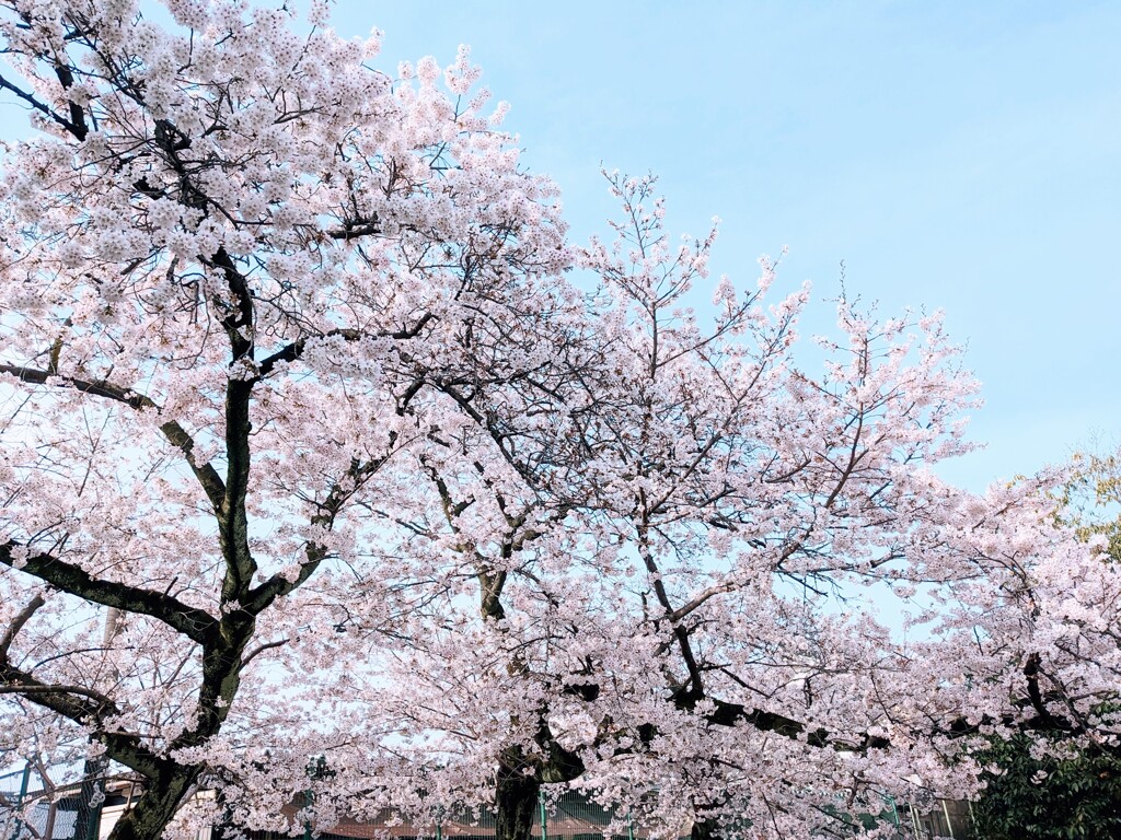 見上げる空