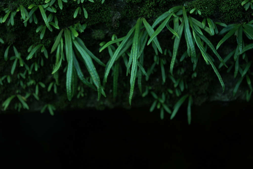 1ミクロンの生き方