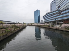 定点観測Spring
