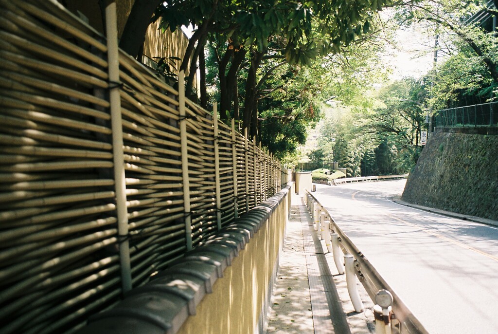 竹垣の歩道
