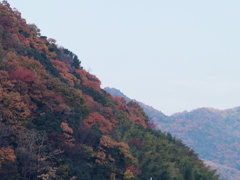 幻景