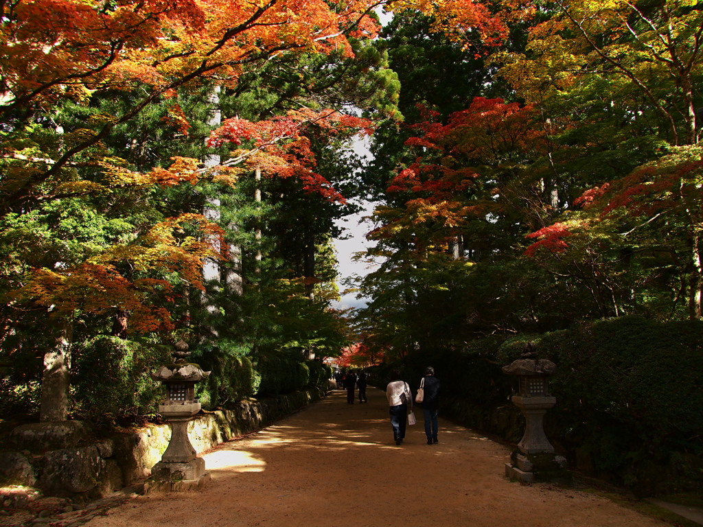 あつい高野山