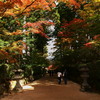 あつい高野山