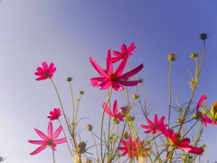 明日へ・・・・。
