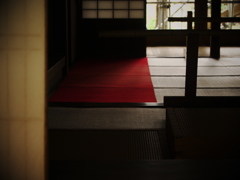 畳の初夢