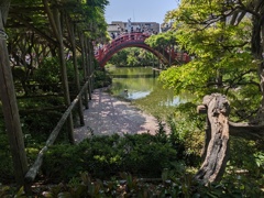 池の棚