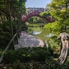 池の棚