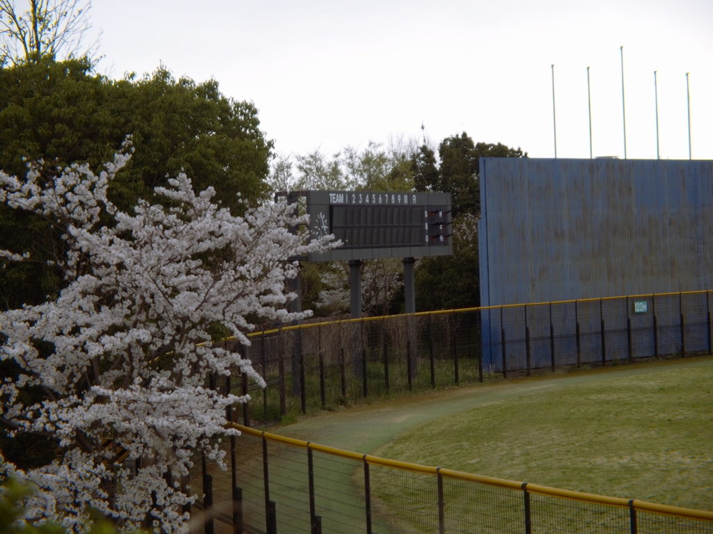 センターバックスクリーン15:00