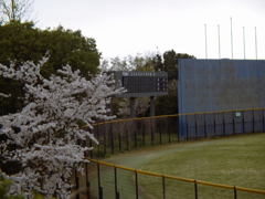 センターバックスクリーン15:00