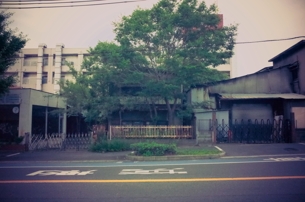 平穏吉日