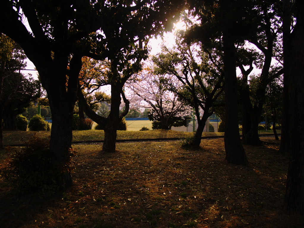 春見た景色