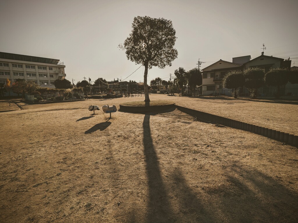 砂塵の公園