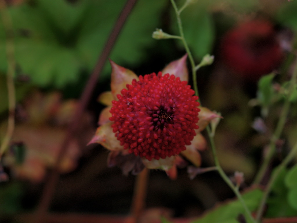 路傍はいつもParadise