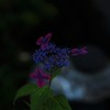 静かな一生