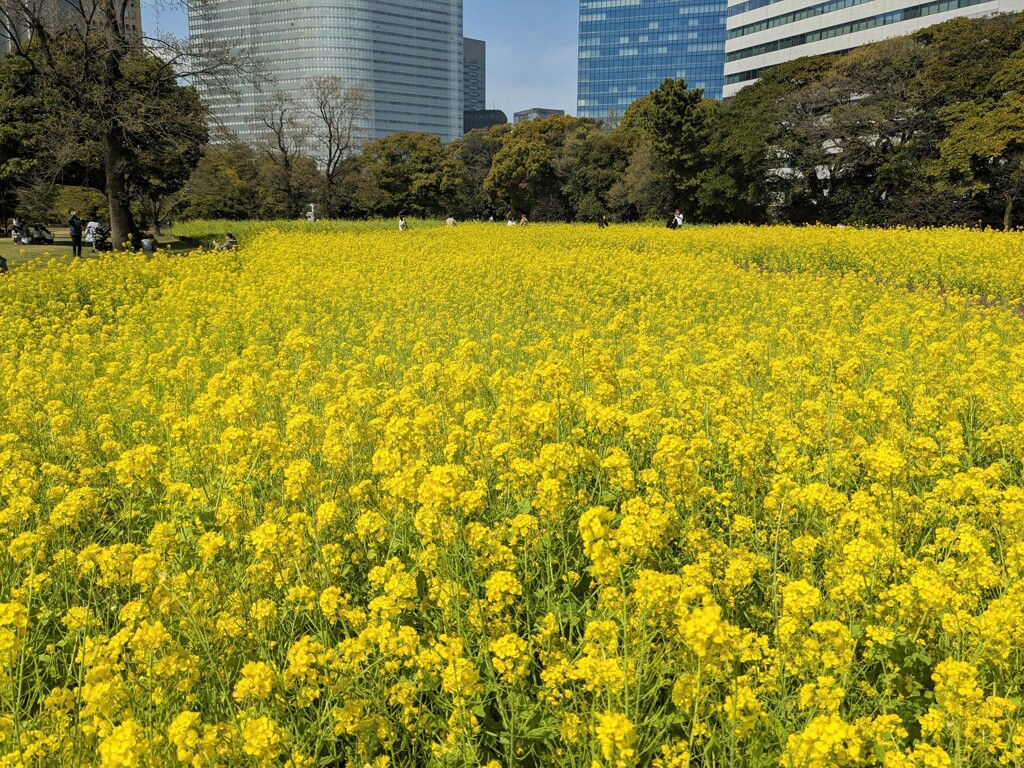 一瞬の輝き