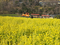 黄色い駅舎