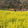 黄色い駅舎