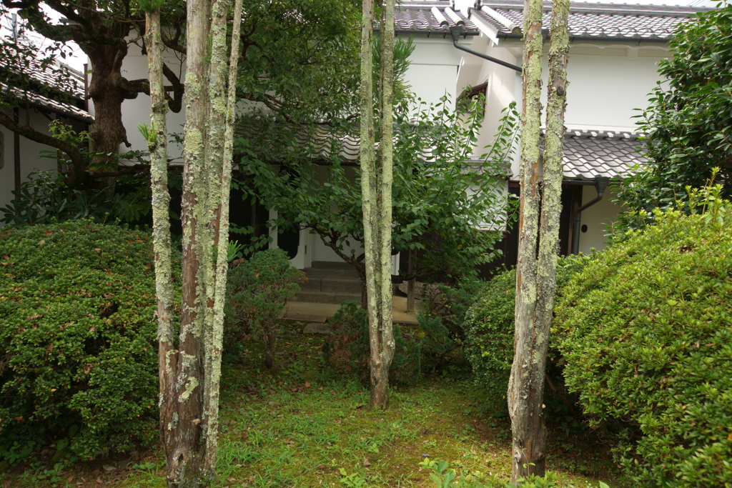 白い蔵の風景