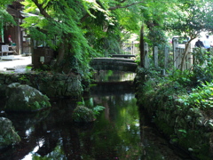 醒ヶ井 地蔵川