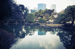 癒しの場所