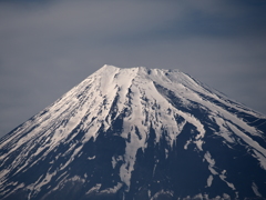 涼