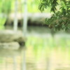 水辺で過ごすこと