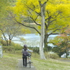 輝く水域