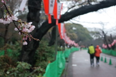 気持だけ花見