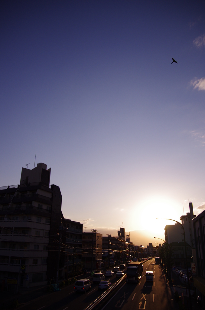 夕焼けキレイ